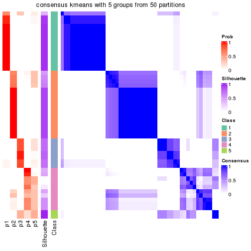 plot of chunk tab-node-011-consensus-heatmap-4