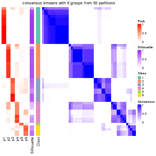 plot of chunk tab-node-011-consensus-heatmap-5