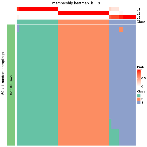 plot of chunk tab-node-011-membership-heatmap-2