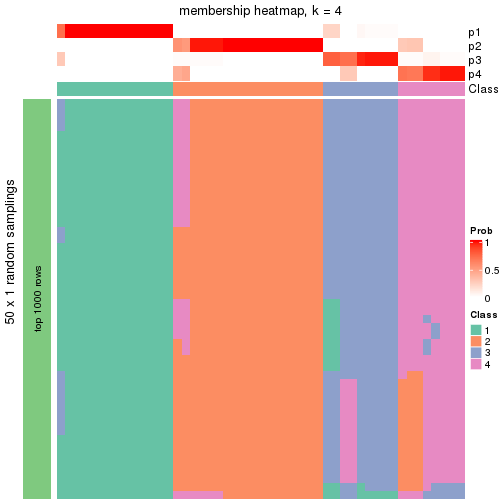 plot of chunk tab-node-011-membership-heatmap-3