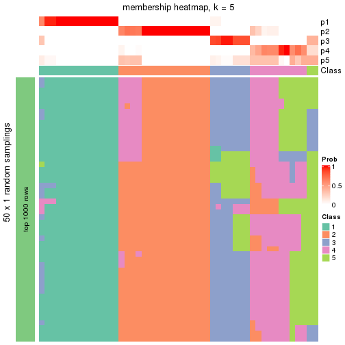 plot of chunk tab-node-011-membership-heatmap-4