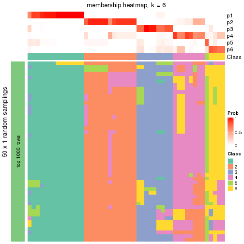 plot of chunk tab-node-011-membership-heatmap-5