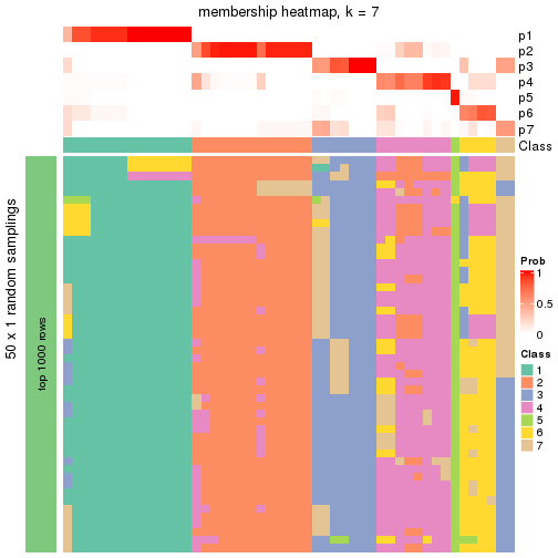 plot of chunk tab-node-011-membership-heatmap-6