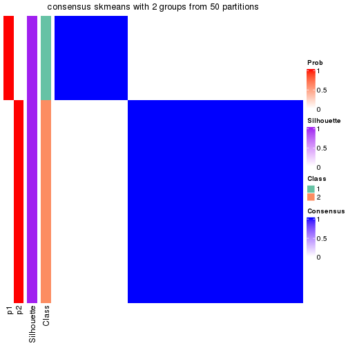 plot of chunk tab-node-0111-consensus-heatmap-1