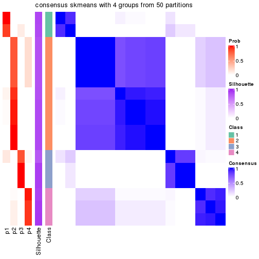 plot of chunk tab-node-0111-consensus-heatmap-3