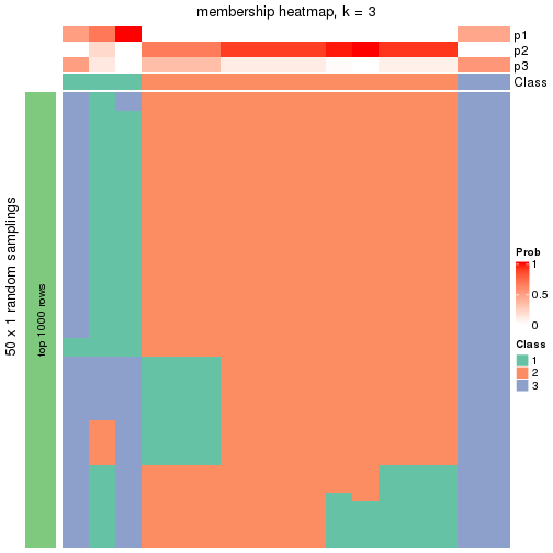 plot of chunk tab-node-0111-membership-heatmap-2