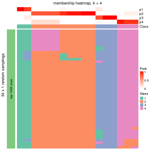 plot of chunk tab-node-0111-membership-heatmap-3