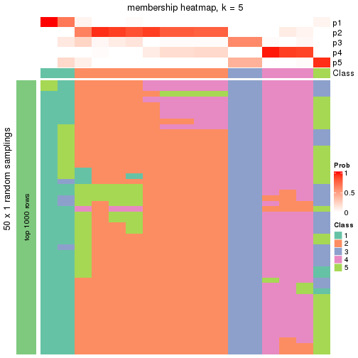 plot of chunk tab-node-0111-membership-heatmap-4