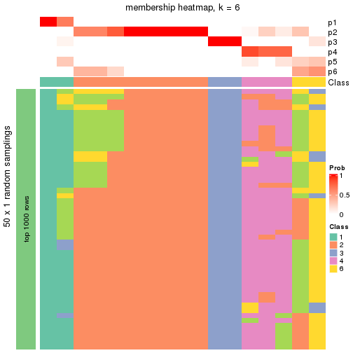 plot of chunk tab-node-0111-membership-heatmap-5