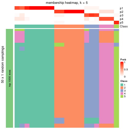 plot of chunk tab-node-0112-membership-heatmap-4