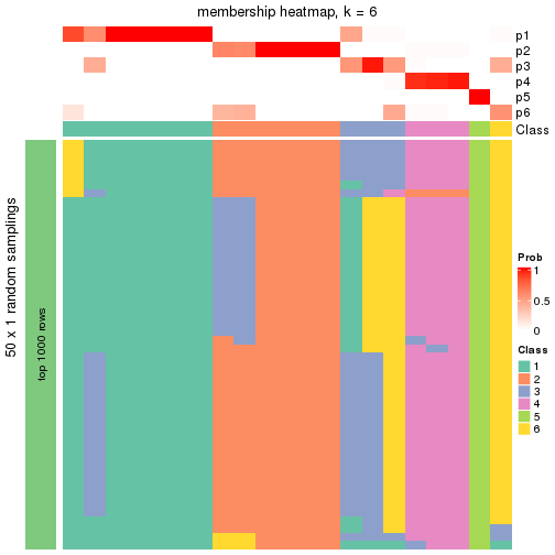 plot of chunk tab-node-0112-membership-heatmap-5