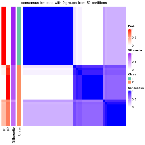 plot of chunk tab-node-012-consensus-heatmap-1