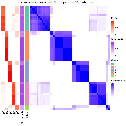 plot of chunk tab-node-012-consensus-heatmap-4