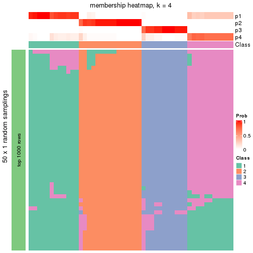 plot of chunk tab-node-012-membership-heatmap-3