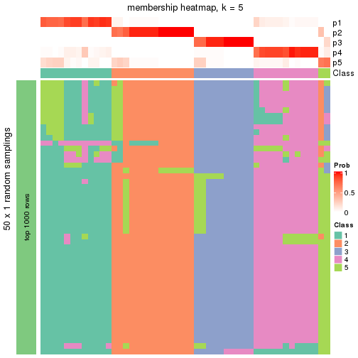 plot of chunk tab-node-012-membership-heatmap-4