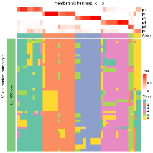 plot of chunk tab-node-012-membership-heatmap-5