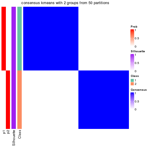 plot of chunk tab-node-0121-consensus-heatmap-1