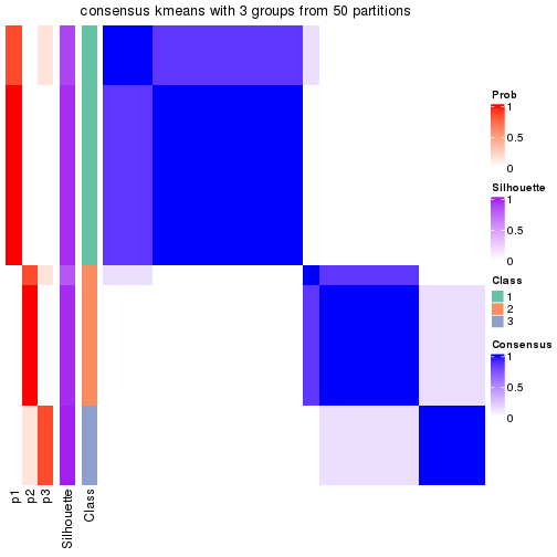 plot of chunk tab-node-0121-consensus-heatmap-2