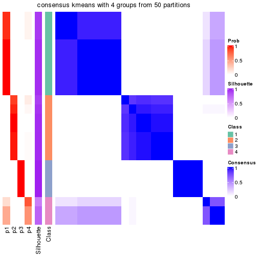 plot of chunk tab-node-0121-consensus-heatmap-3