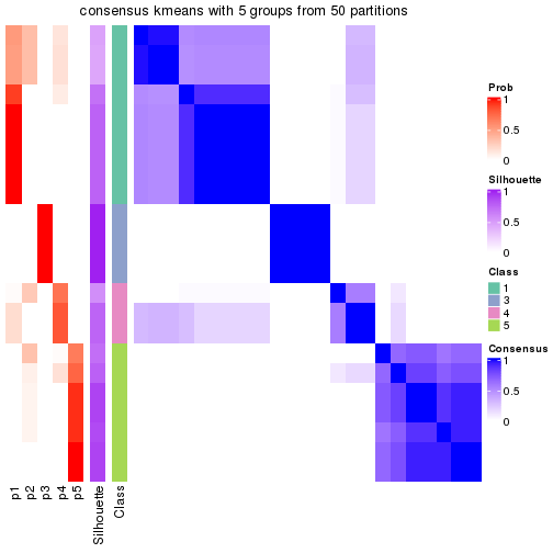 plot of chunk tab-node-0121-consensus-heatmap-4