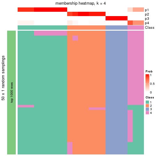 plot of chunk tab-node-0121-membership-heatmap-3