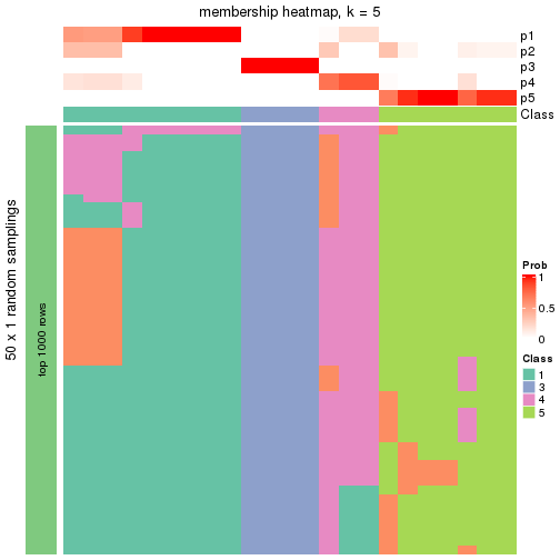 plot of chunk tab-node-0121-membership-heatmap-4