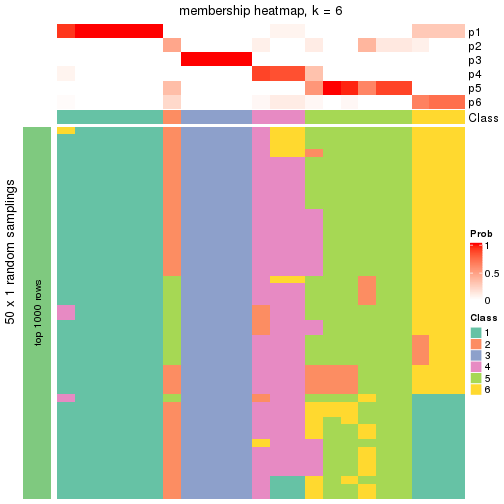 plot of chunk tab-node-0121-membership-heatmap-5