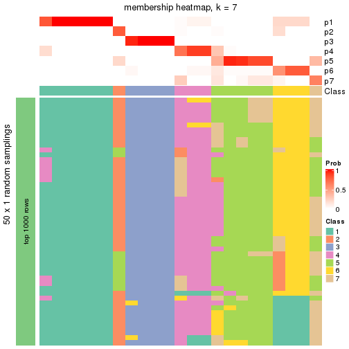 plot of chunk tab-node-0121-membership-heatmap-6