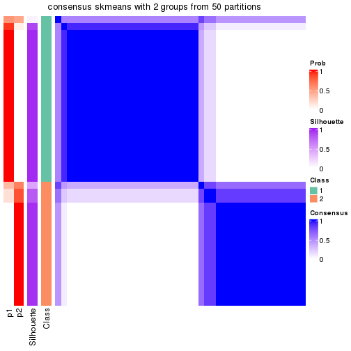 plot of chunk tab-node-013-consensus-heatmap-1