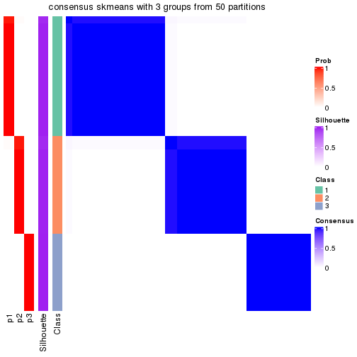 plot of chunk tab-node-013-consensus-heatmap-2