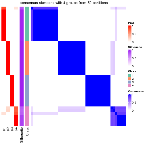 plot of chunk tab-node-013-consensus-heatmap-3