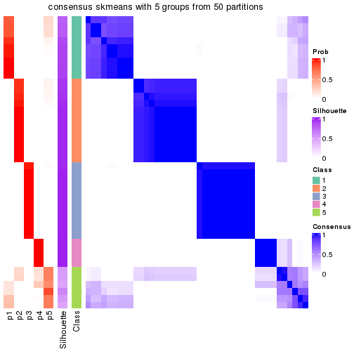 plot of chunk tab-node-013-consensus-heatmap-4