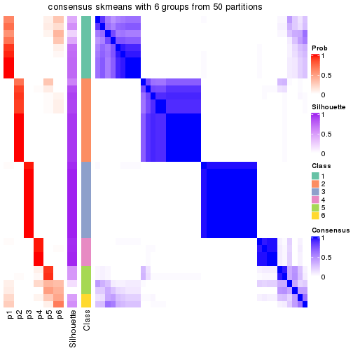 plot of chunk tab-node-013-consensus-heatmap-5