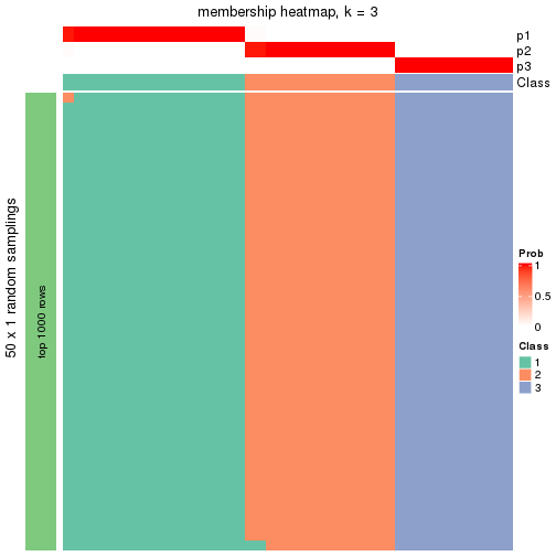 plot of chunk tab-node-013-membership-heatmap-2