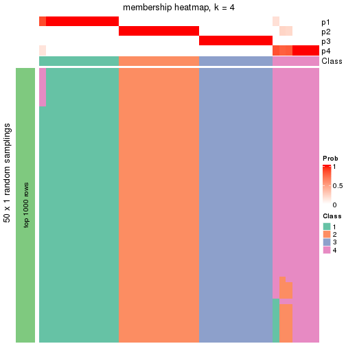 plot of chunk tab-node-013-membership-heatmap-3