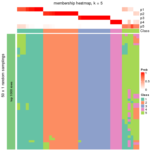 plot of chunk tab-node-013-membership-heatmap-4