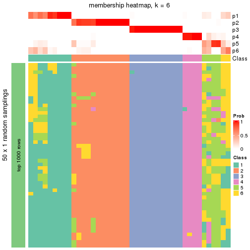 plot of chunk tab-node-013-membership-heatmap-5