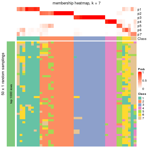 plot of chunk tab-node-013-membership-heatmap-6