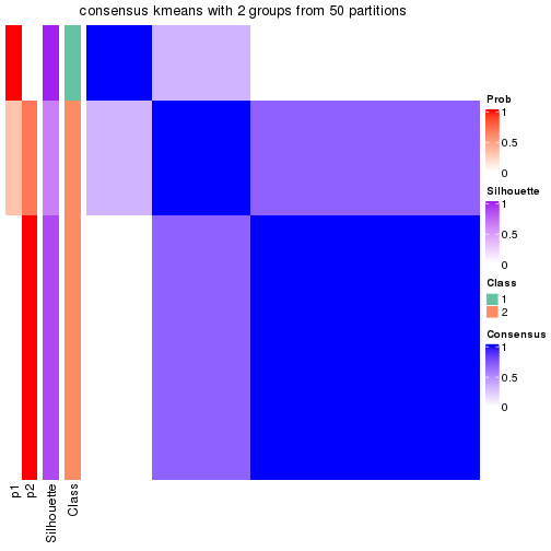 plot of chunk tab-node-0132-consensus-heatmap-1