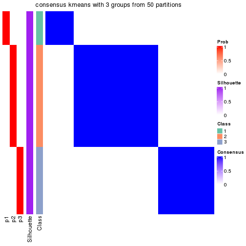 plot of chunk tab-node-0132-consensus-heatmap-2