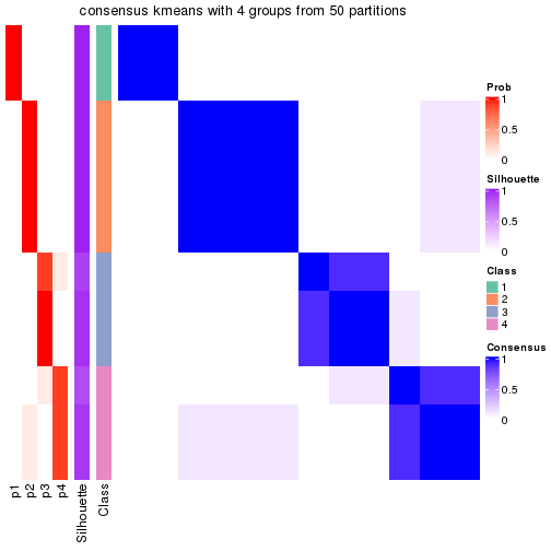 plot of chunk tab-node-0132-consensus-heatmap-3