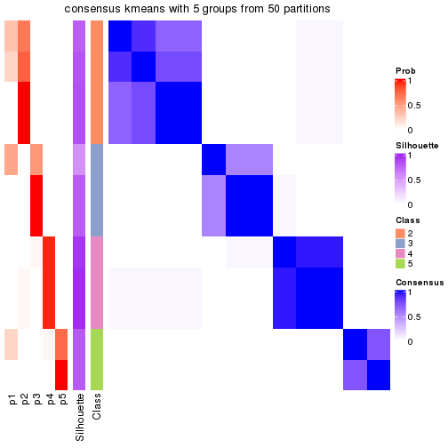 plot of chunk tab-node-0132-consensus-heatmap-4