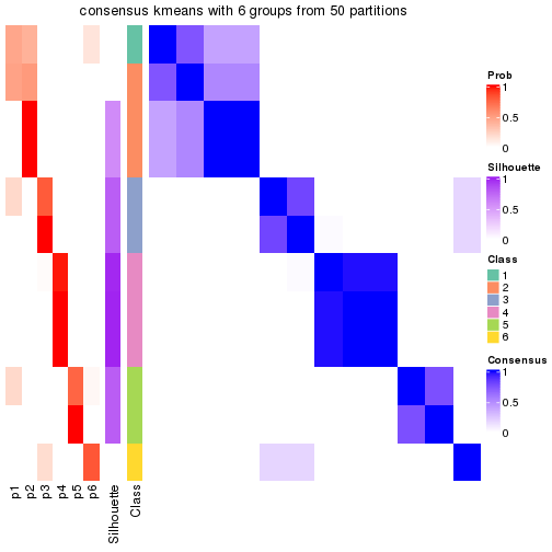 plot of chunk tab-node-0132-consensus-heatmap-5