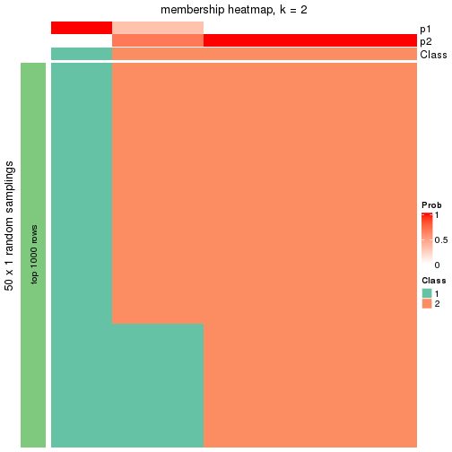 plot of chunk tab-node-0132-membership-heatmap-1