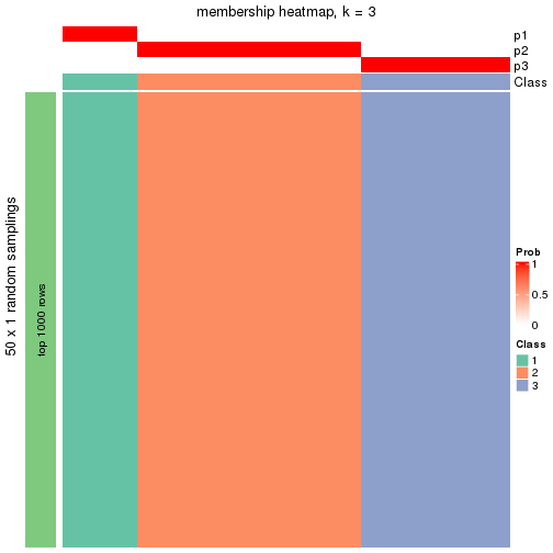 plot of chunk tab-node-0132-membership-heatmap-2