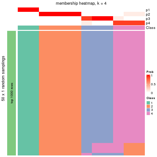 plot of chunk tab-node-0132-membership-heatmap-3