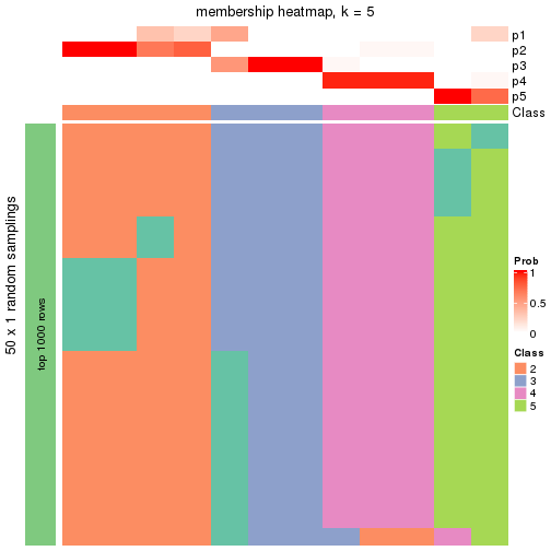 plot of chunk tab-node-0132-membership-heatmap-4