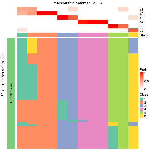 plot of chunk tab-node-0132-membership-heatmap-5