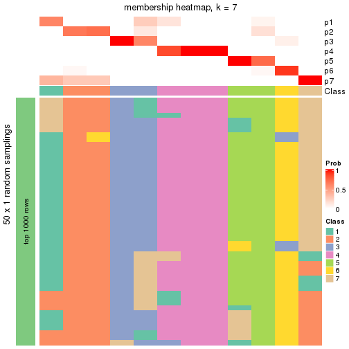 plot of chunk tab-node-0132-membership-heatmap-6