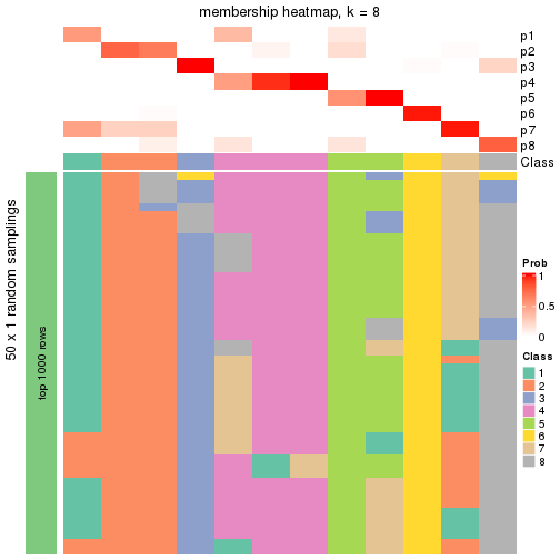 plot of chunk tab-node-0132-membership-heatmap-7